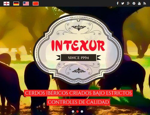 intexur.com